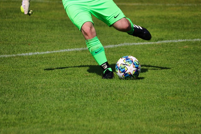 也为欧洲的 也为欧洲的