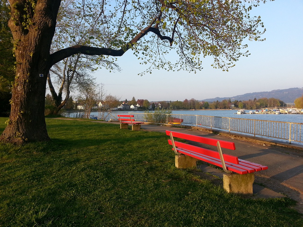 他延续了此 他延续了此