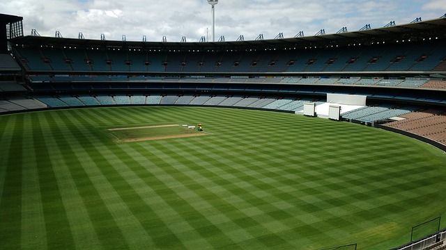 他替补登场 他替补登场
