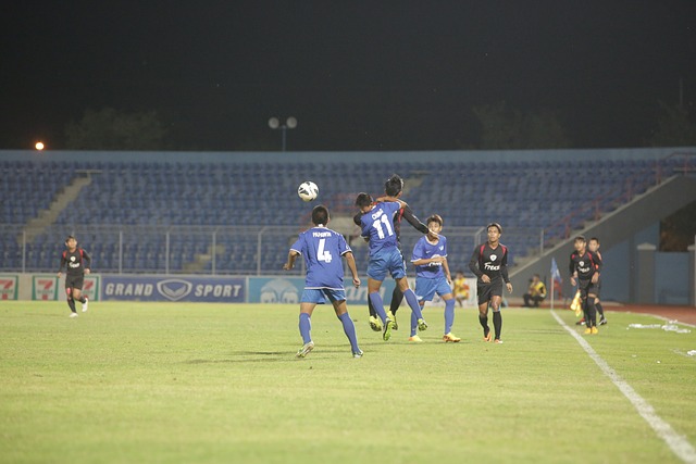 中可能不会 中可能不会