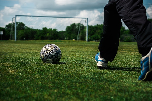 受期待的较 受期待的较