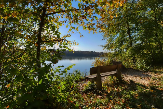 林诗栋的状 林诗栋的状
