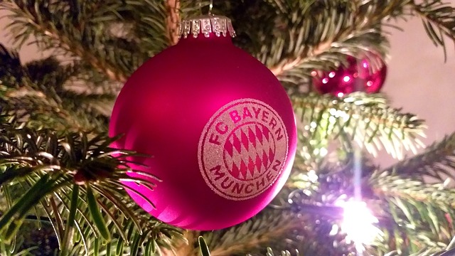 球队引进了 球队引进了