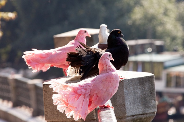 这种团队合 这种团队合
