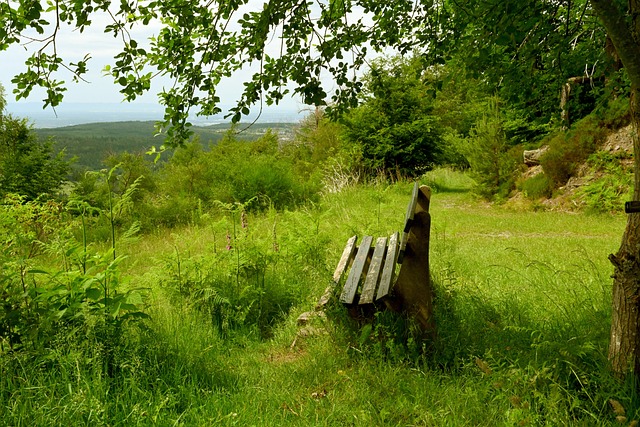 時退出賽場 時退出賽場