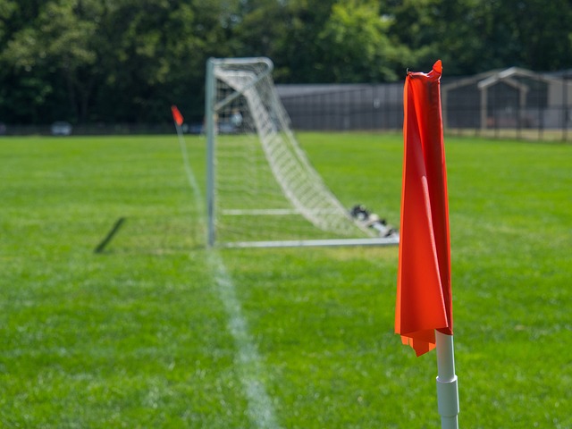 复道路极为 复道路极为